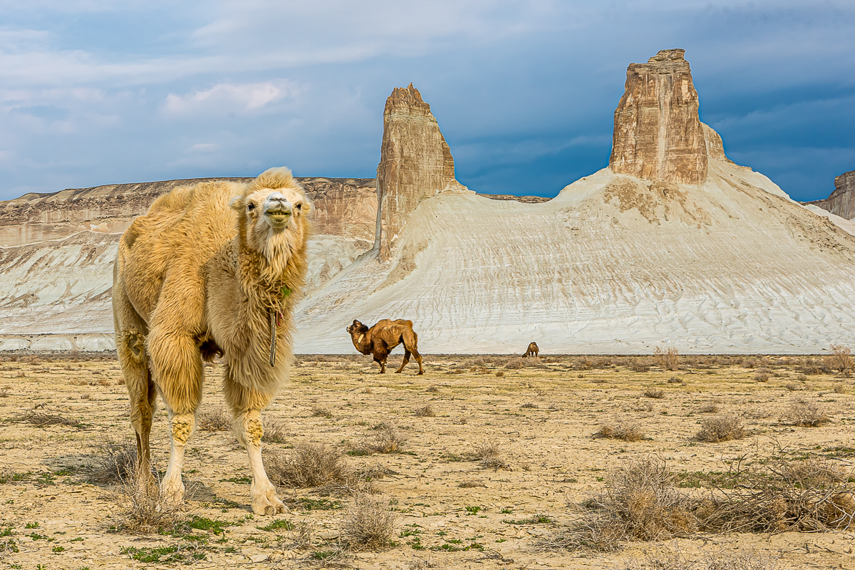 Великолепный Мангистау. Путешествие на другую планету (46/135)