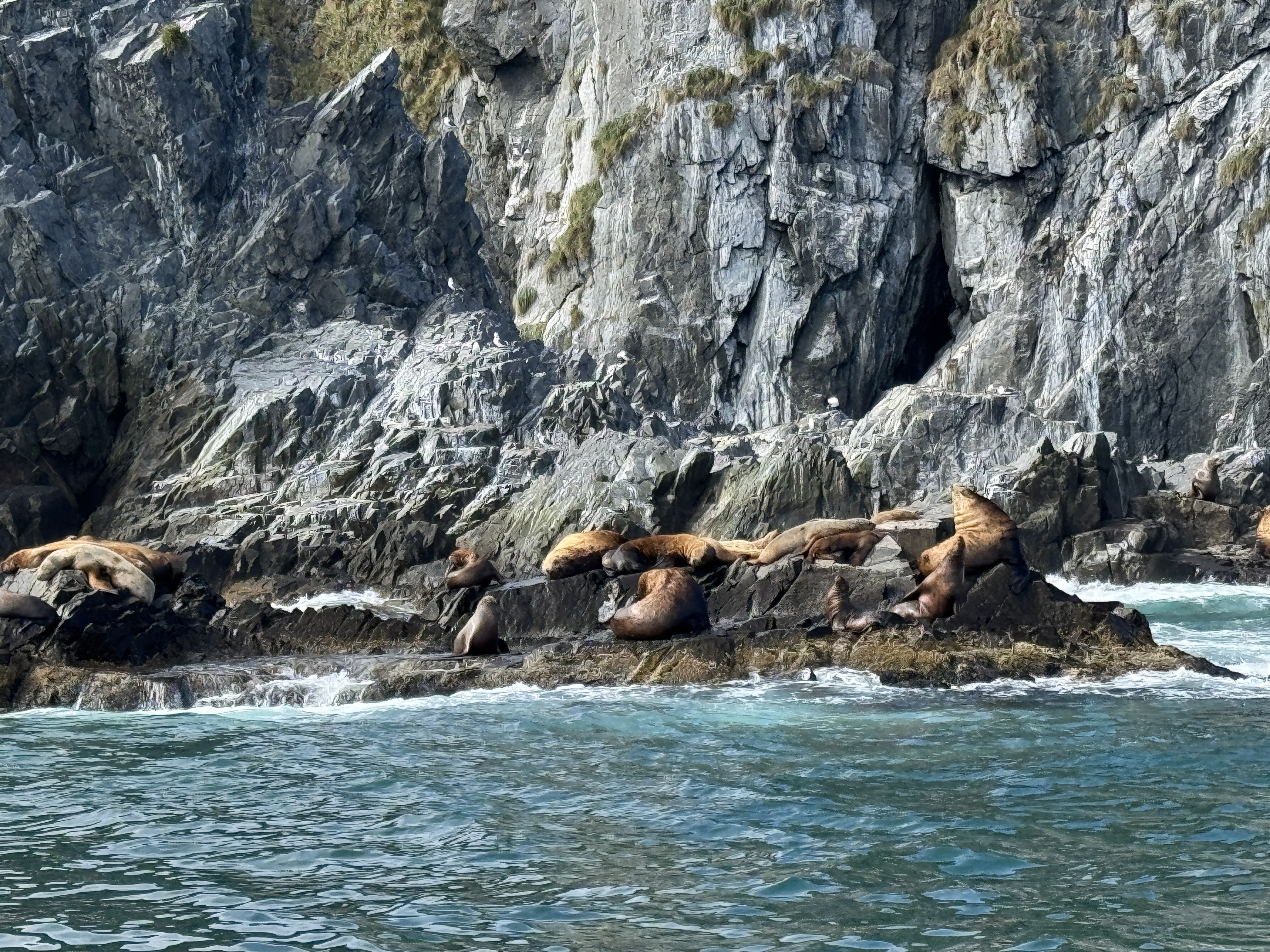 Камчатка: твое яркое знакомство с комфортом - Все включено (37/64)