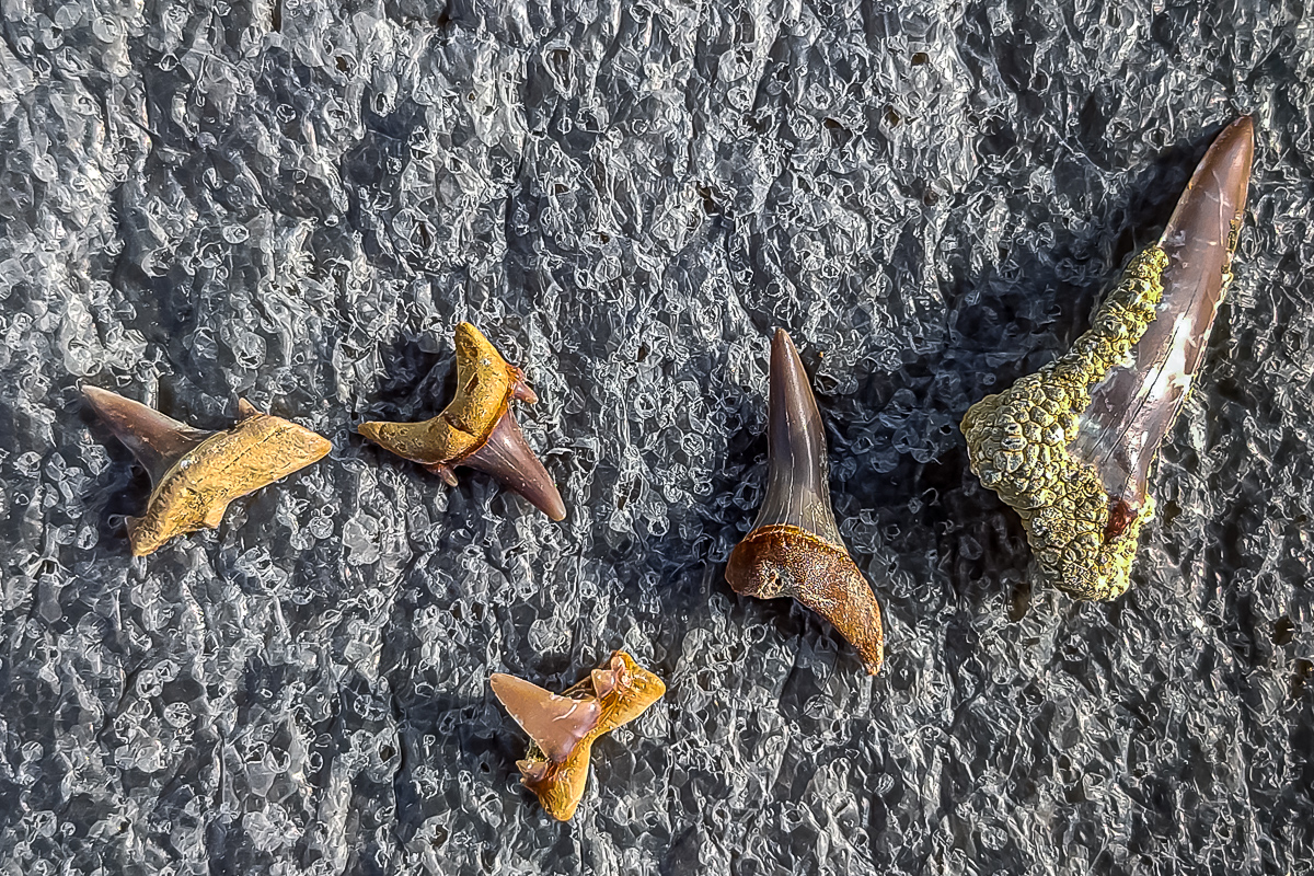 Великолепный Мангистау. Путешествие на другую планету (31/135)