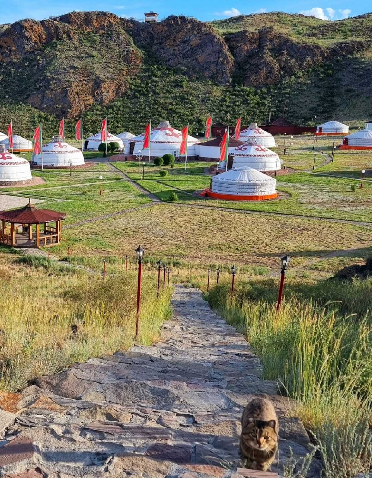 В Сердце Азии, 8 дней (5/11)