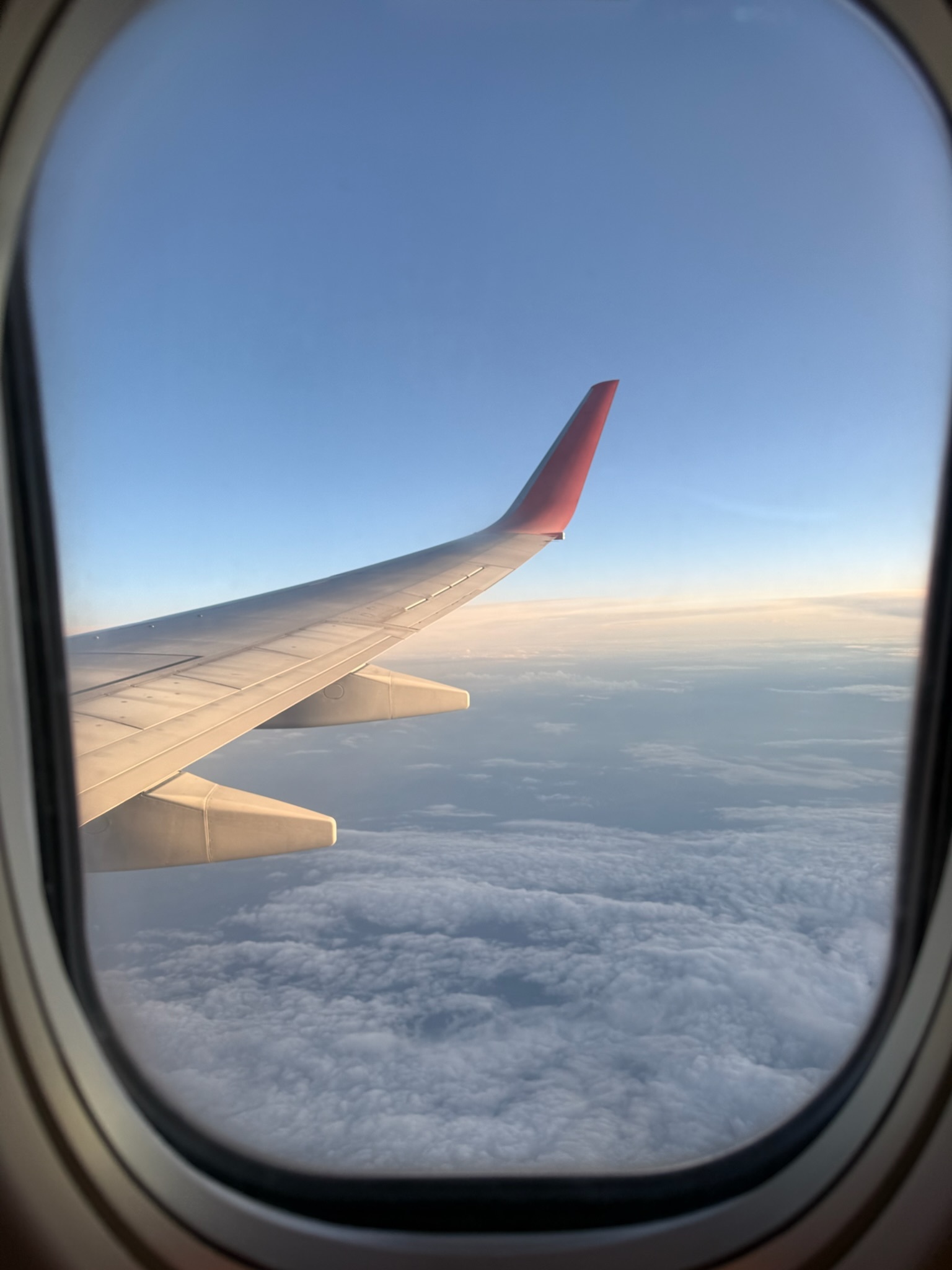 Вылет домой