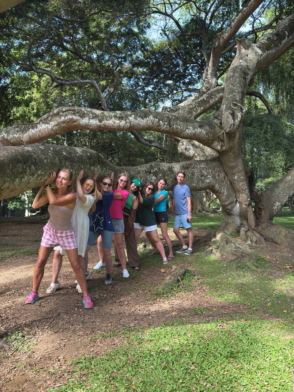 Канди, ботанический сад, джип сафари со слонами