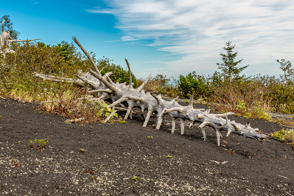 Три вулкана Курильских островов. Путешествие на другую планету (90/138)