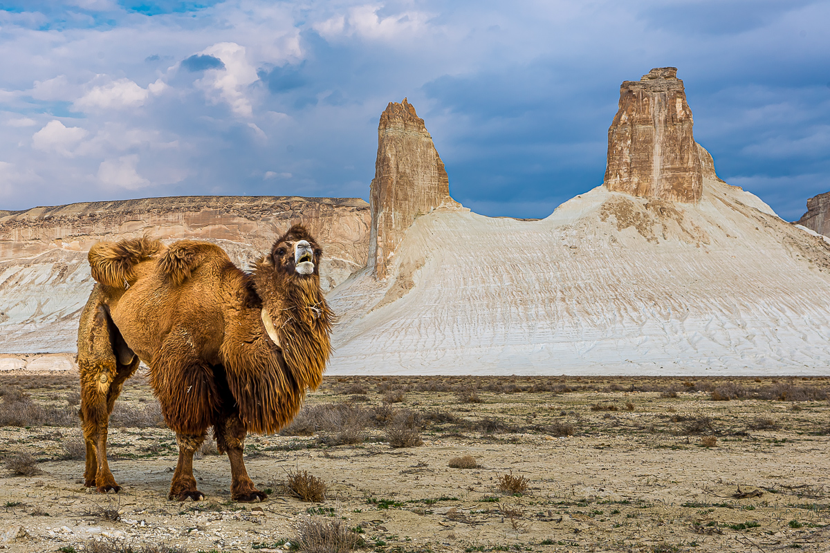 Комфортный Мангистау. Путешествие на другую планету (49/127)