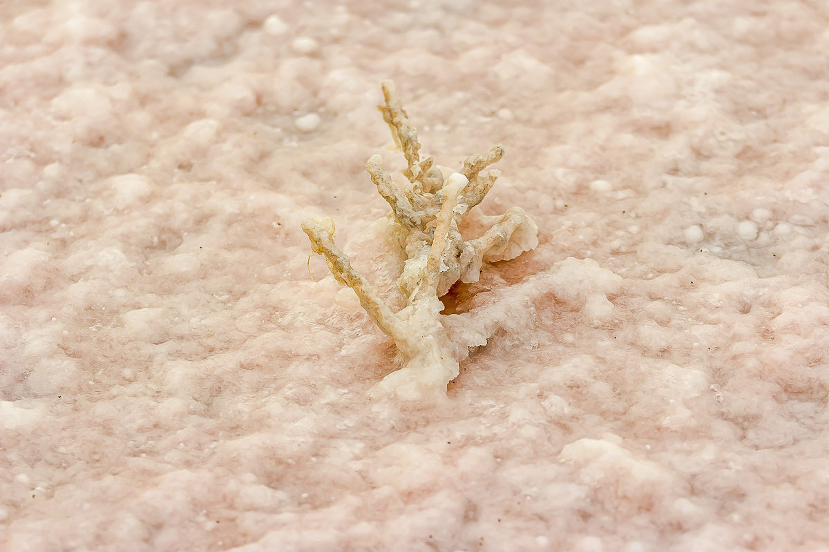 Великолепный Мангистау. Путешествие на другую планету (25/135)