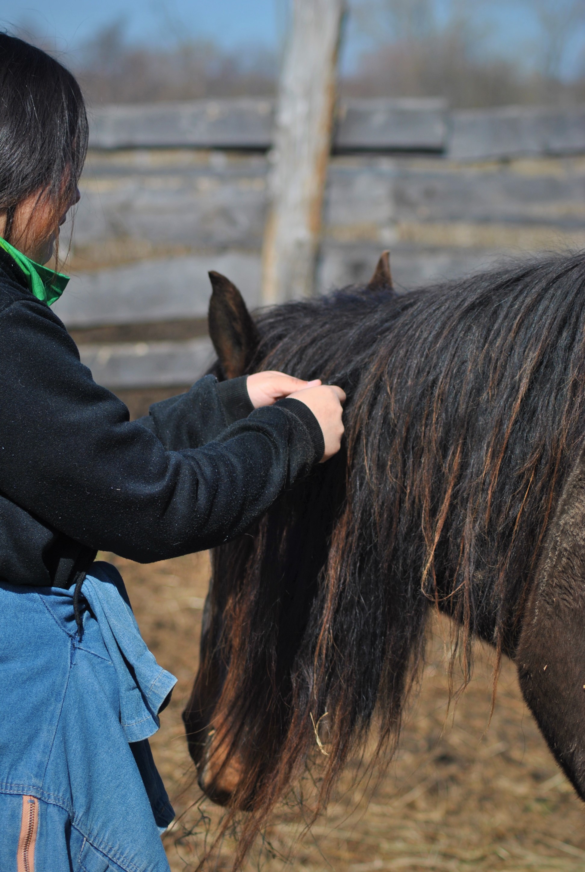 В гости к жеребятам (3/13)