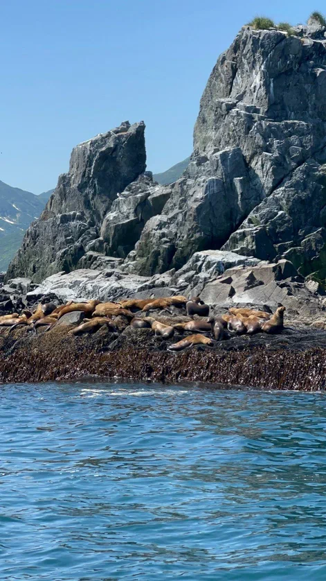 Тур на Камчатку (2/13)