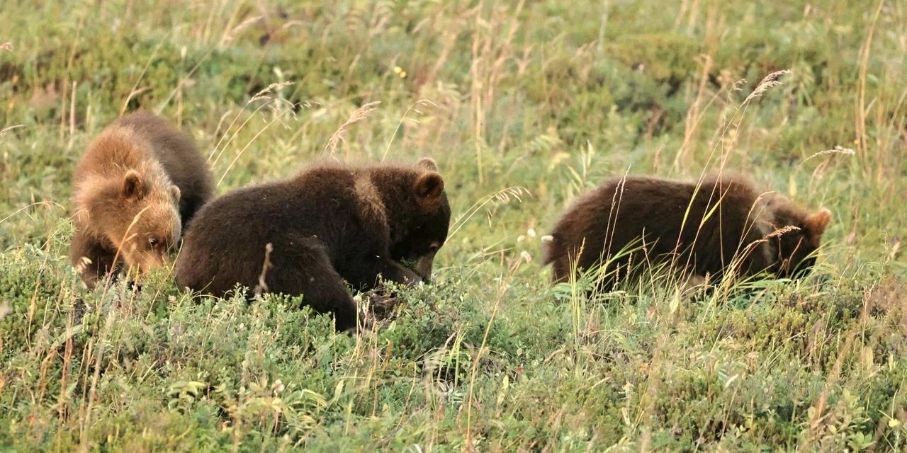 Тур на Камчатку (3/13)