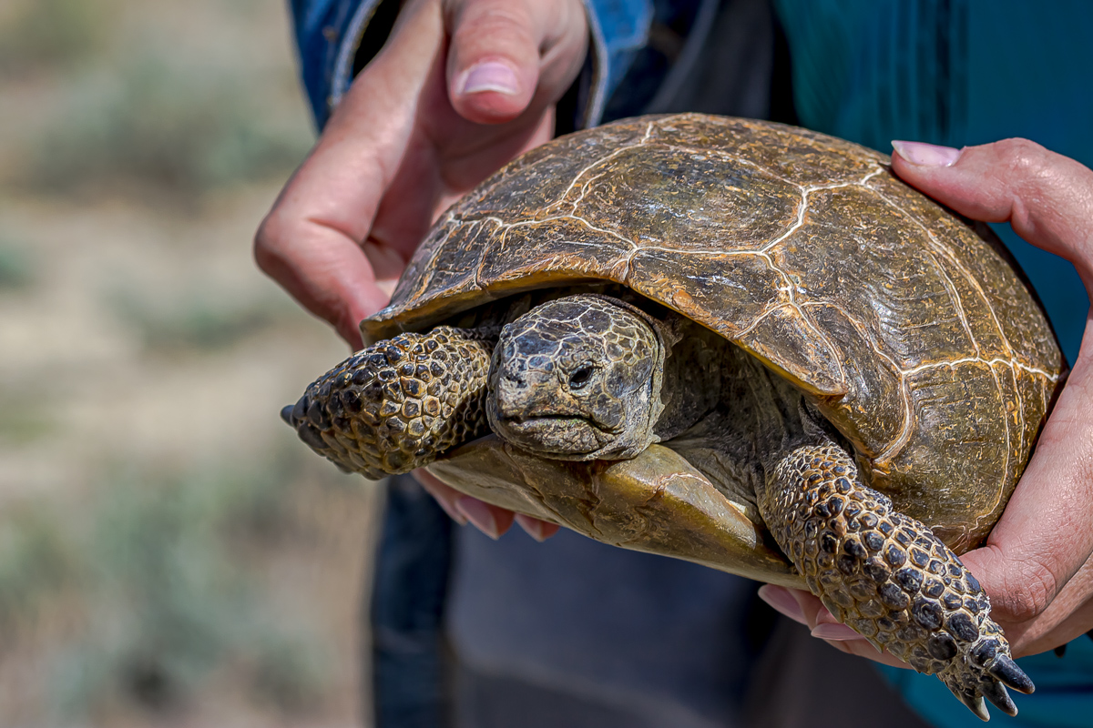 Комфортный Мангистау. Путешествие на другую планету (30/127)