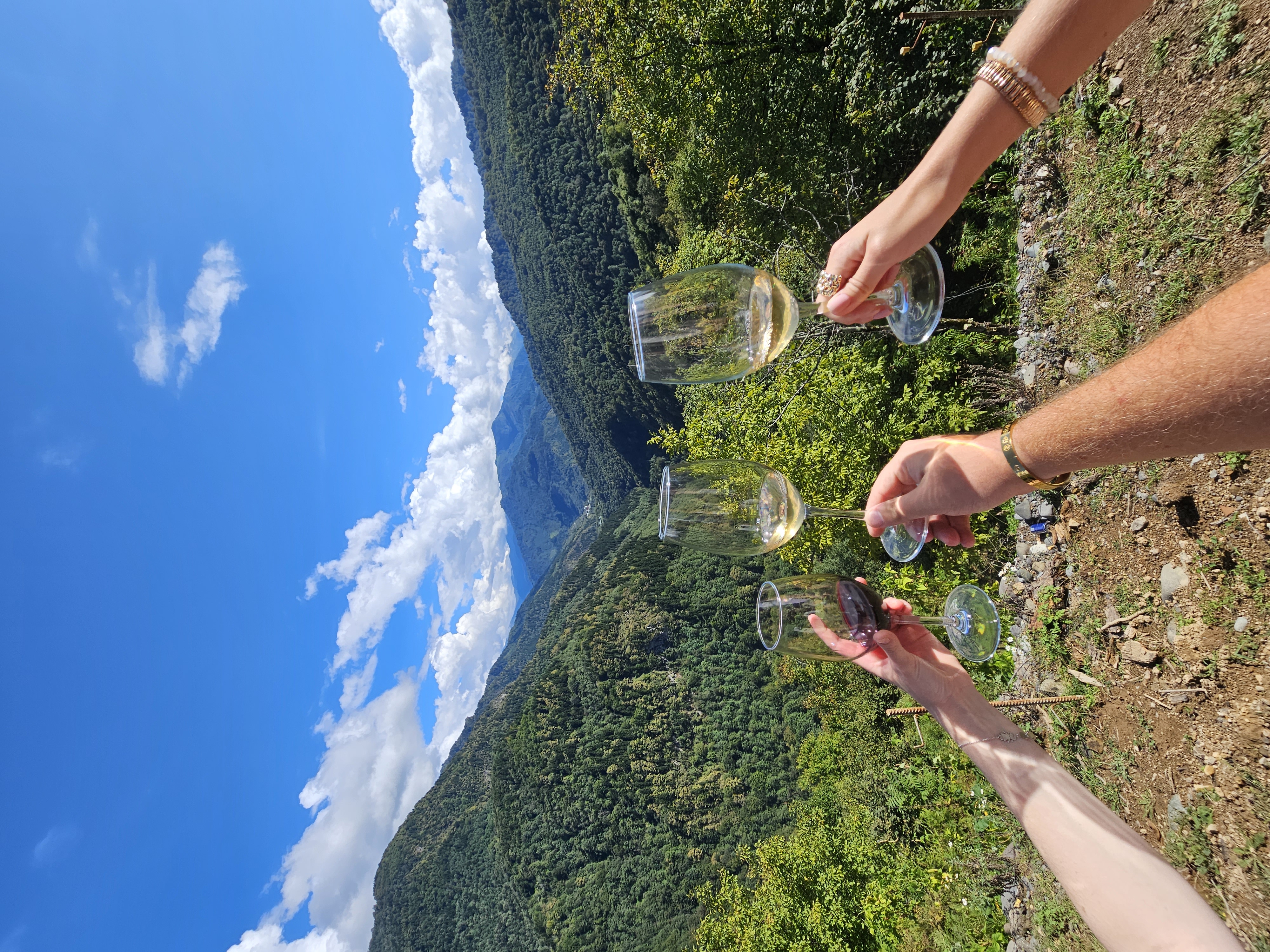 Водопады, горы, вино и танцы. Колоритная Аджария (16/22)