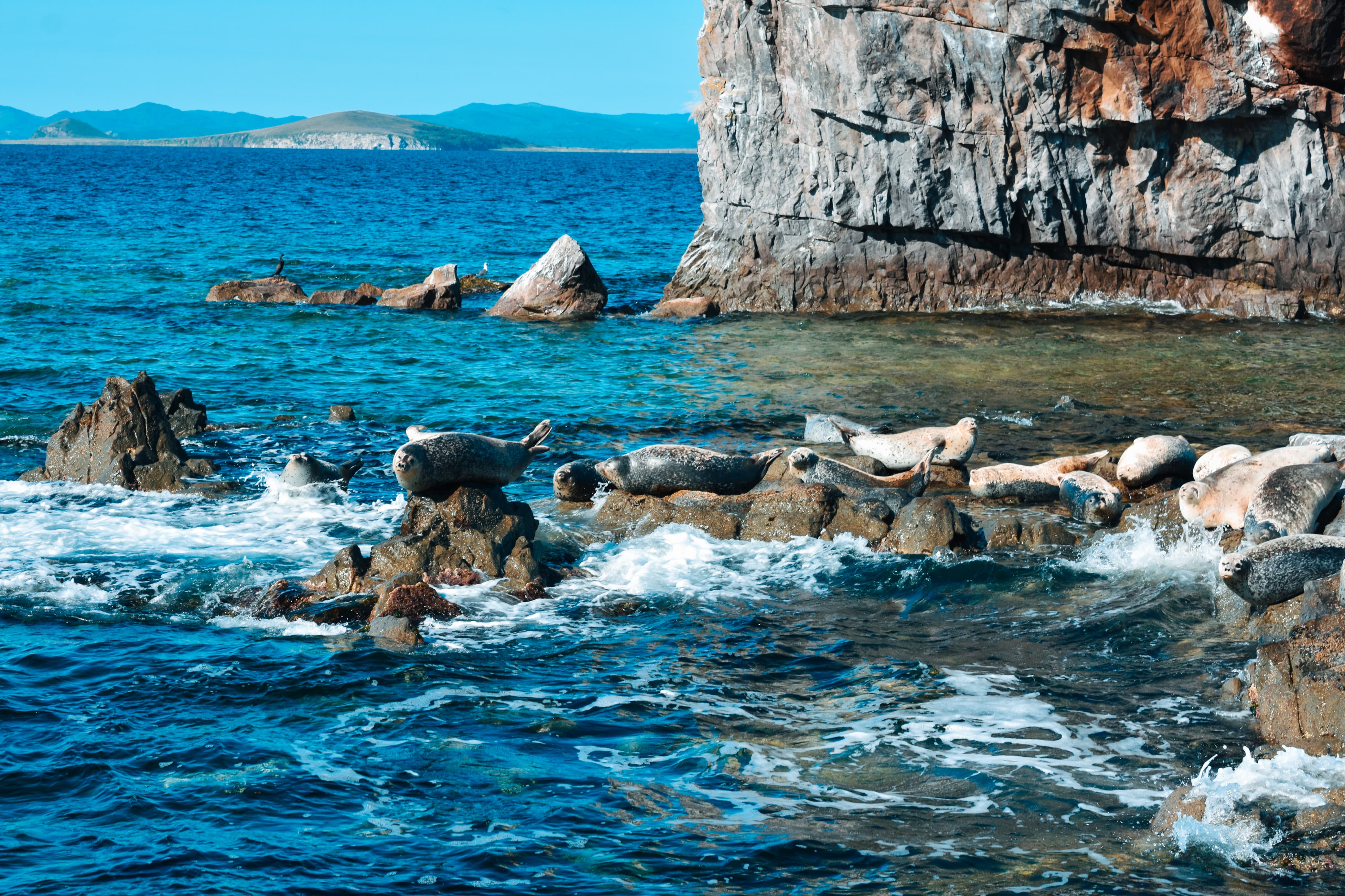 Владивосток и Приморье: свидание с океаном (26/30)