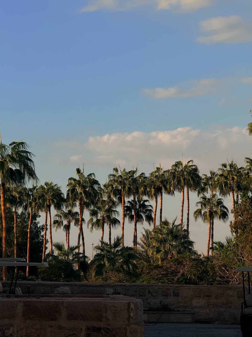 Мертвое море