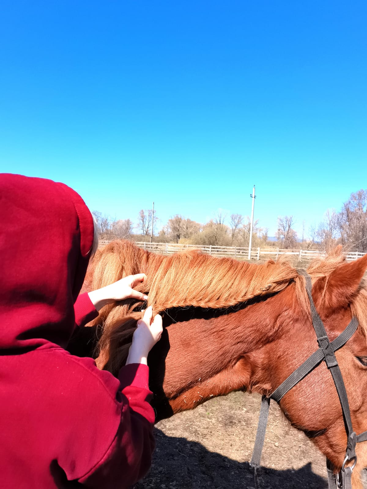 В гости к жеребятам (9/13)