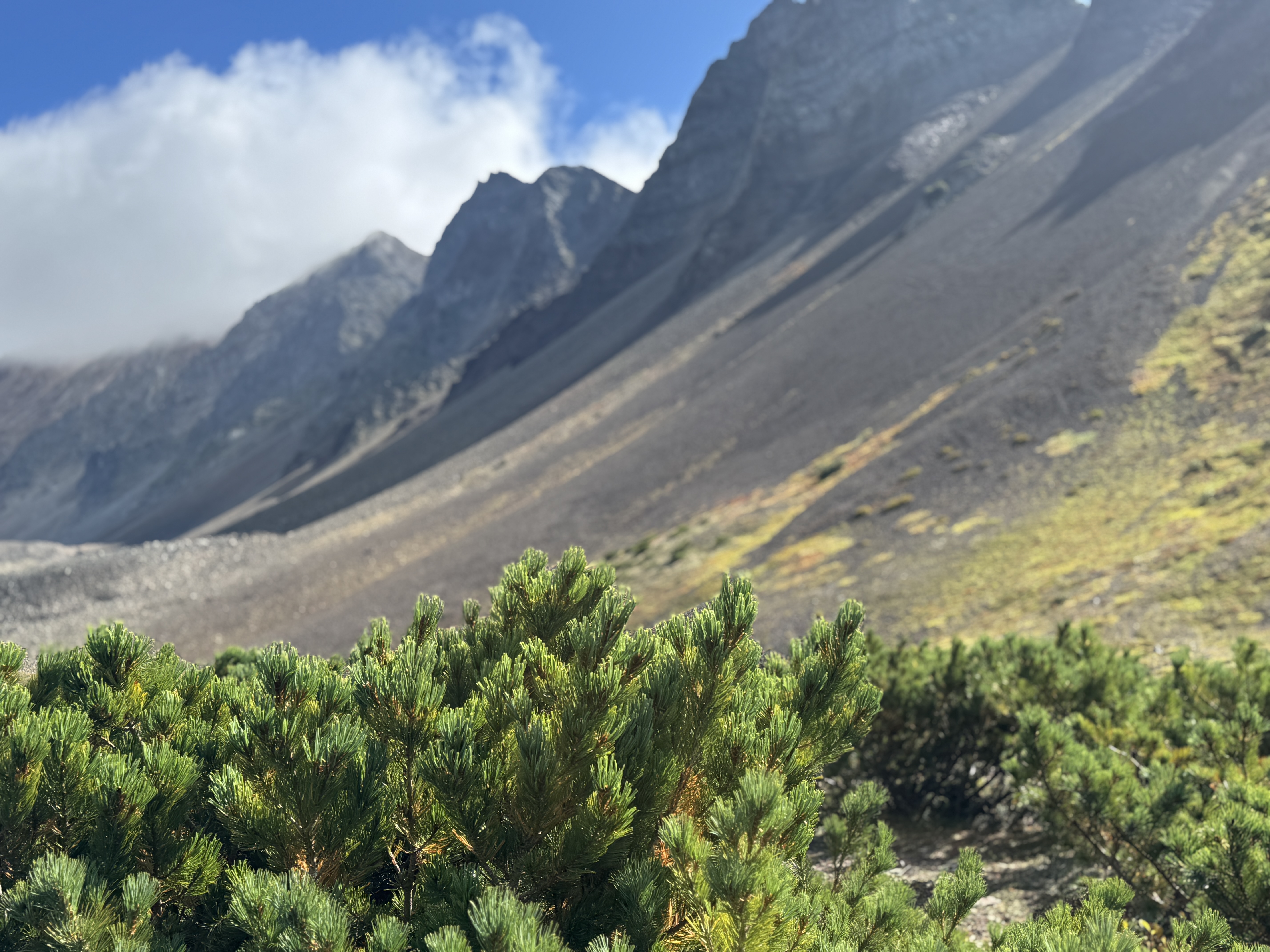 Камчатка: твое яркое знакомство с комфортом - Все включено (41/64)