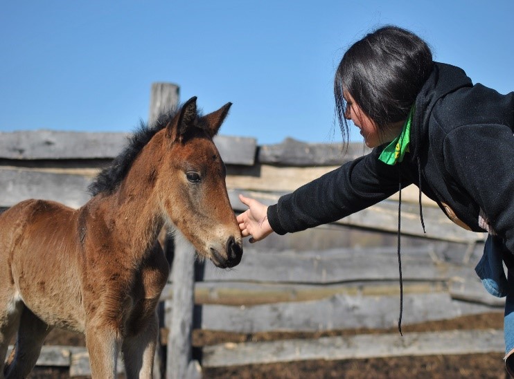 В гости к жеребятам (1/13)