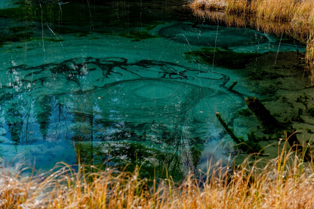 Весь Алтай за 4 дня (12/13)