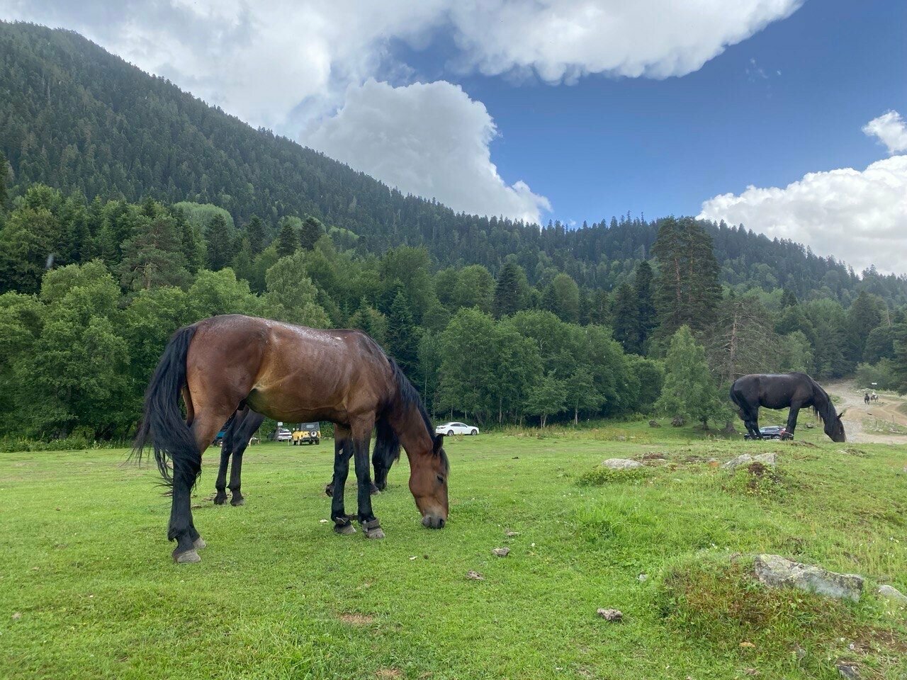 Все курорты Карачаево-Черкессии и Кабардино-Балкарии за 4 дня и 3 ночи (10/64)