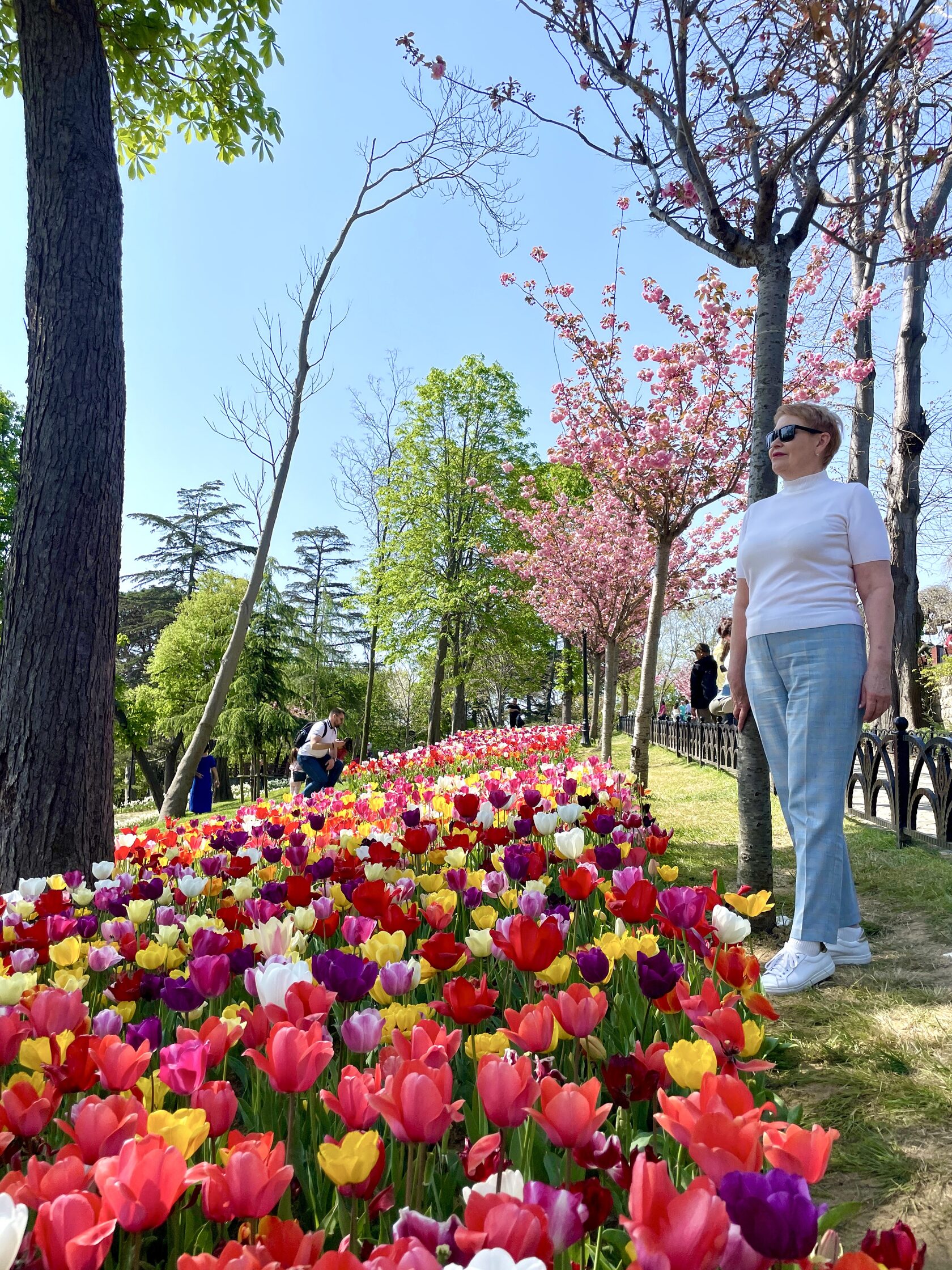 Яркий Стамбул: фестиваль тюльпанов 8-12 апреля (5/32)