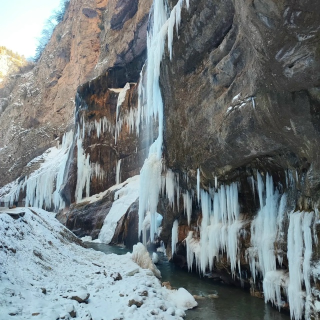 По следам Бременских музыкантов (6/24)