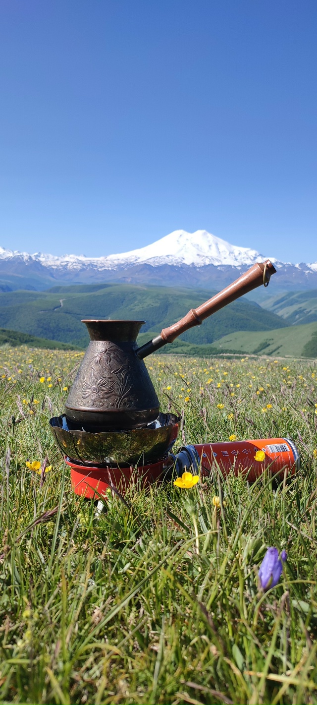 По следам Бременских музыкантов (3/24)