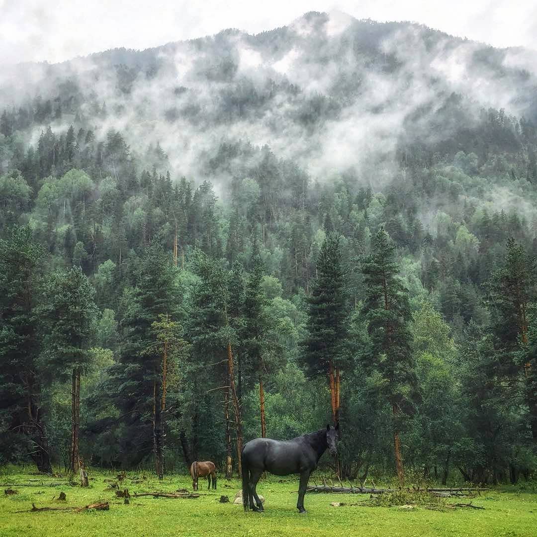 Архыз Домбай Эльбрус  за 3 дня и 2 ночи (7/12)