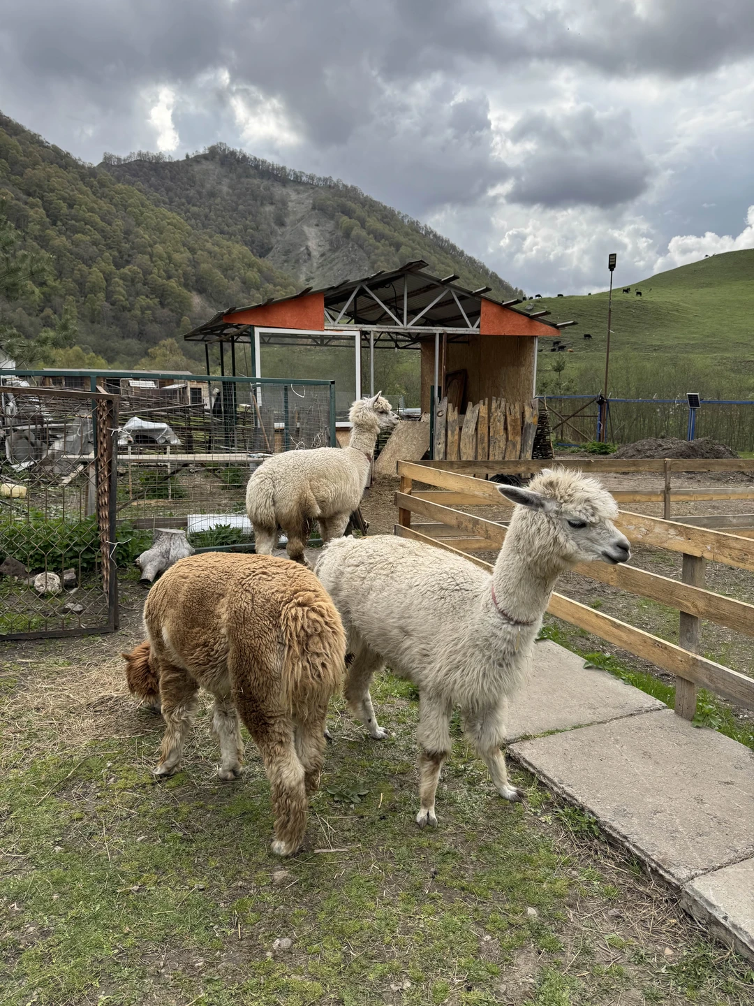 Все курорты Карачаево-Черкессии и Кабардино-Балкарии за 4 дня и 3 ночи (37/64)