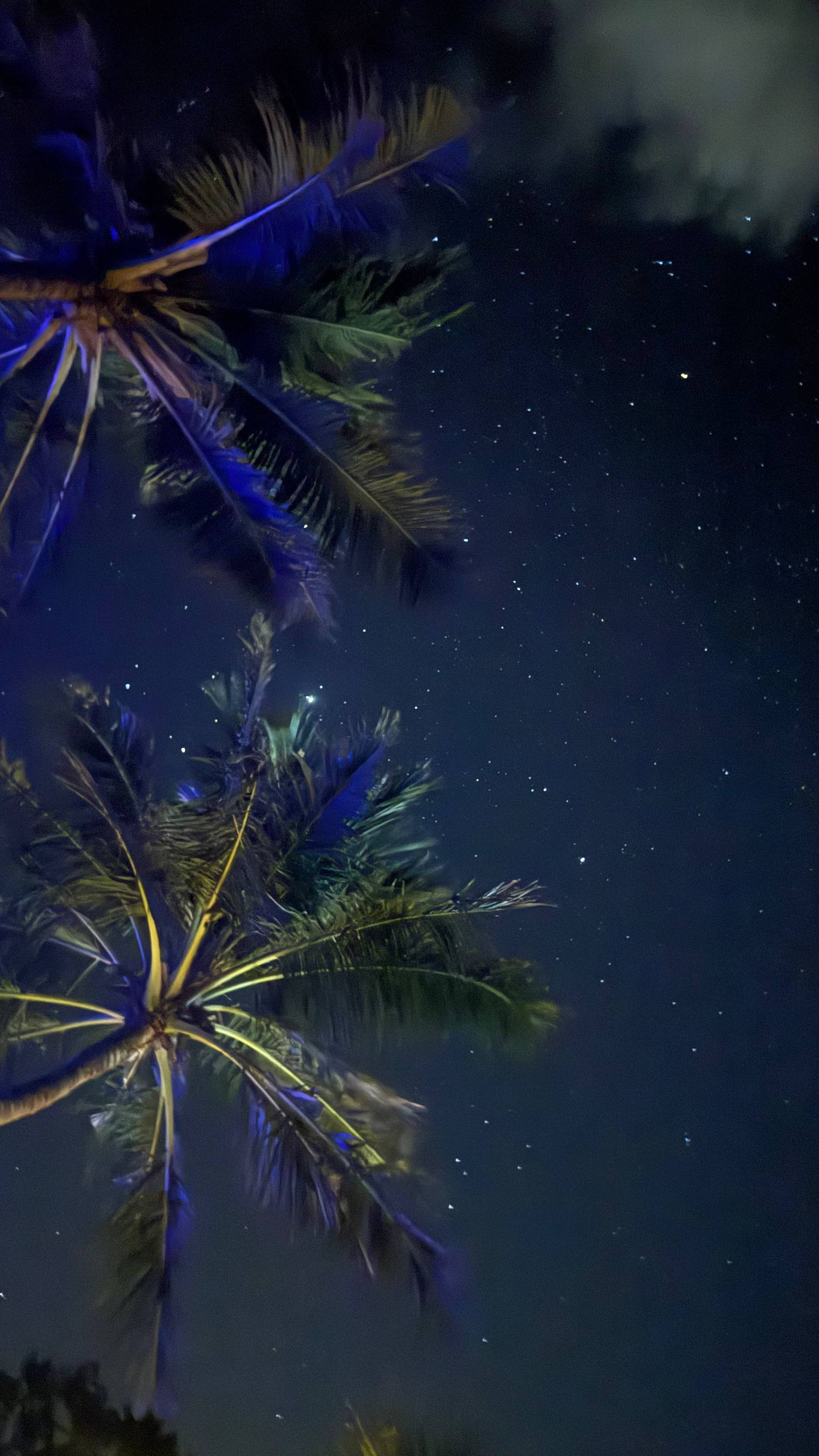 Сказочные Мальдивы.9 Дней на Райских Островах (60/87)