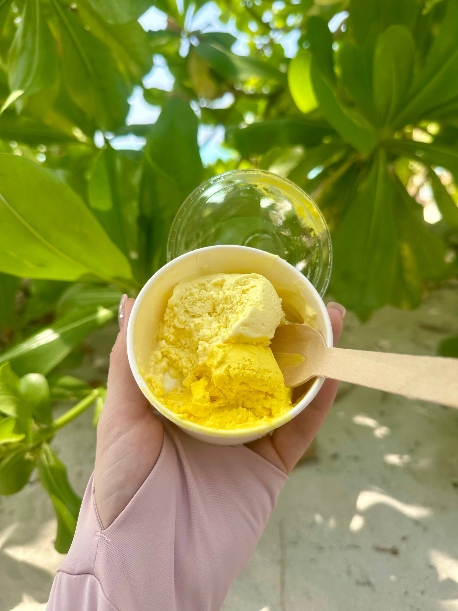 Сказочные Мальдивы.9 Дней на Райских Островах (33/87)