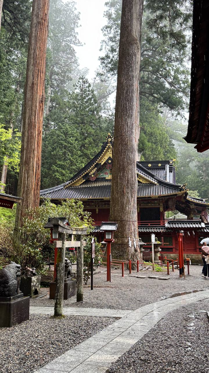 Активный тур в Японию (13/72)