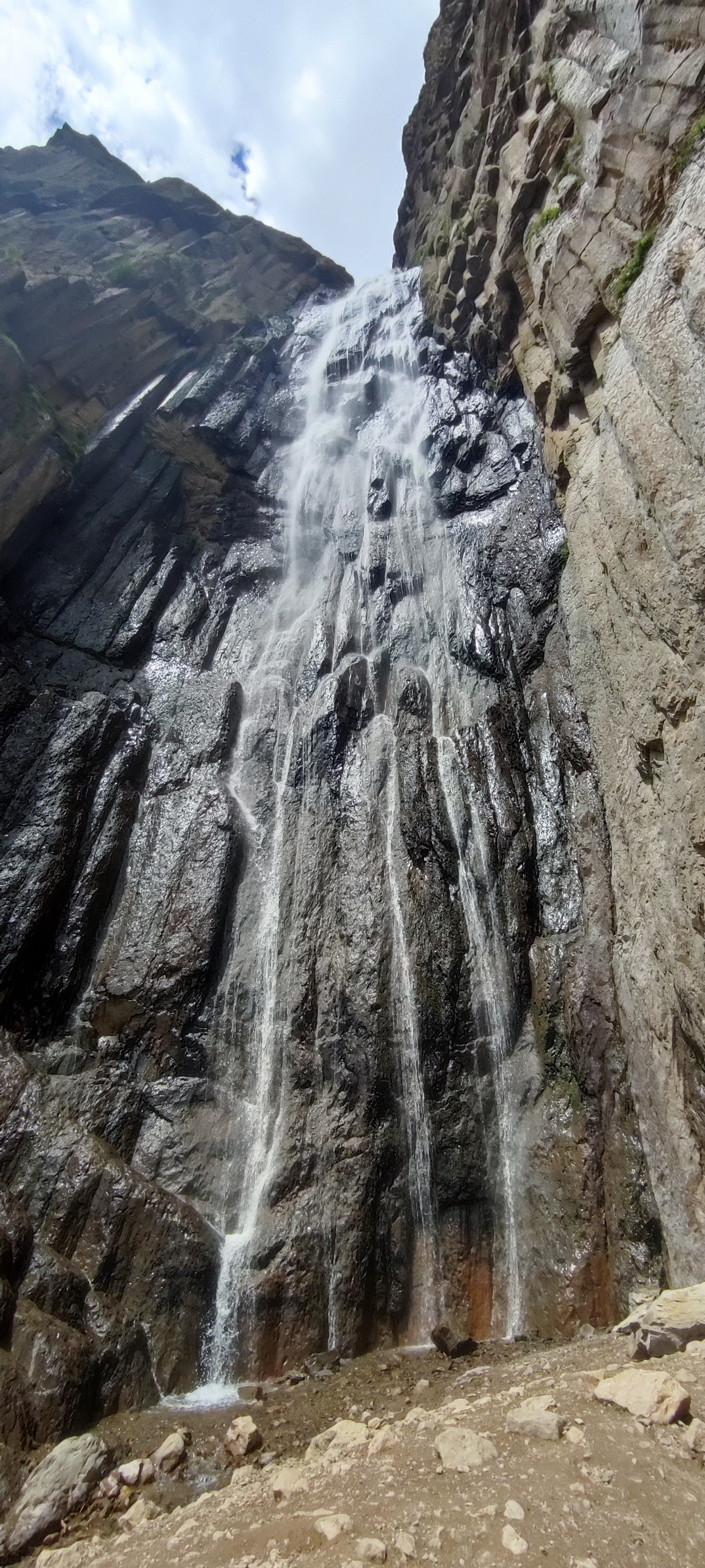 По следам Бременских музыкантов (8/24)