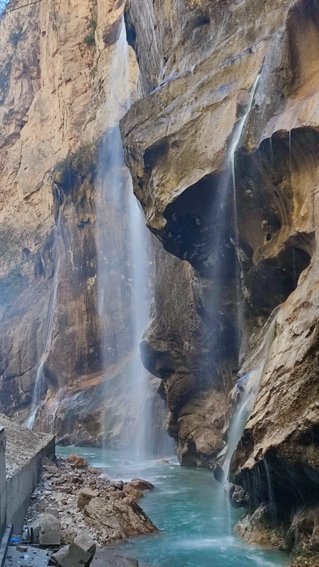 По следам Бременских музыкантов (4/24)