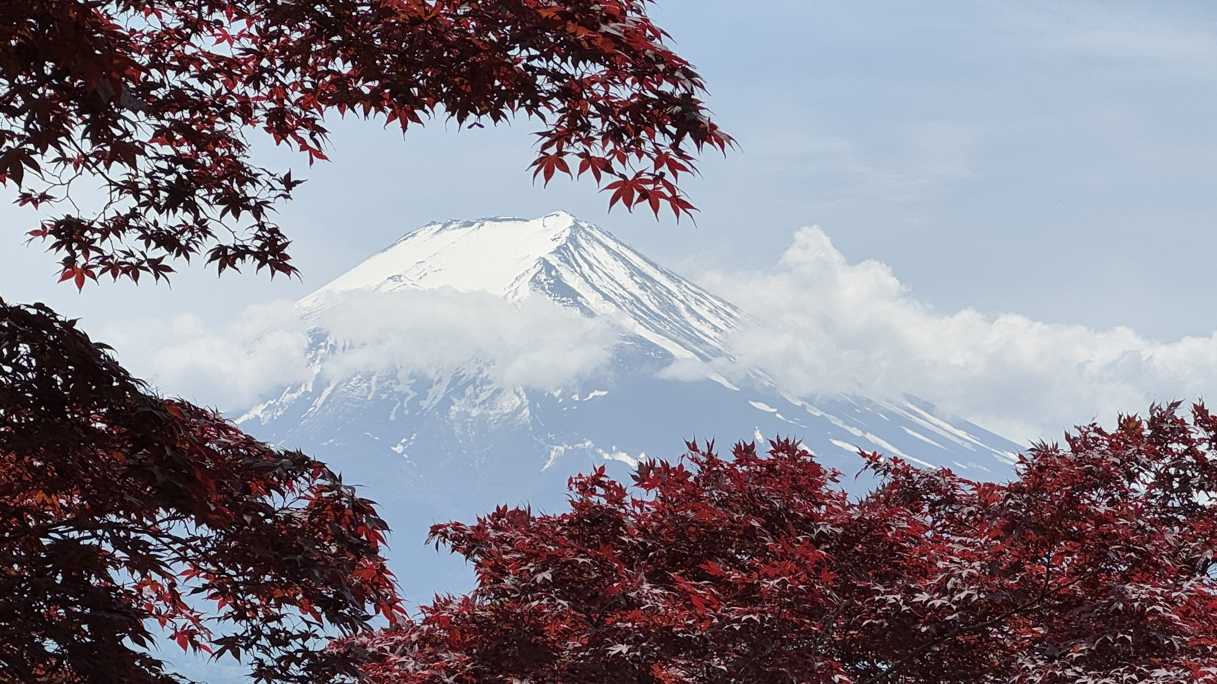 Активный тур в Японию (15/72)