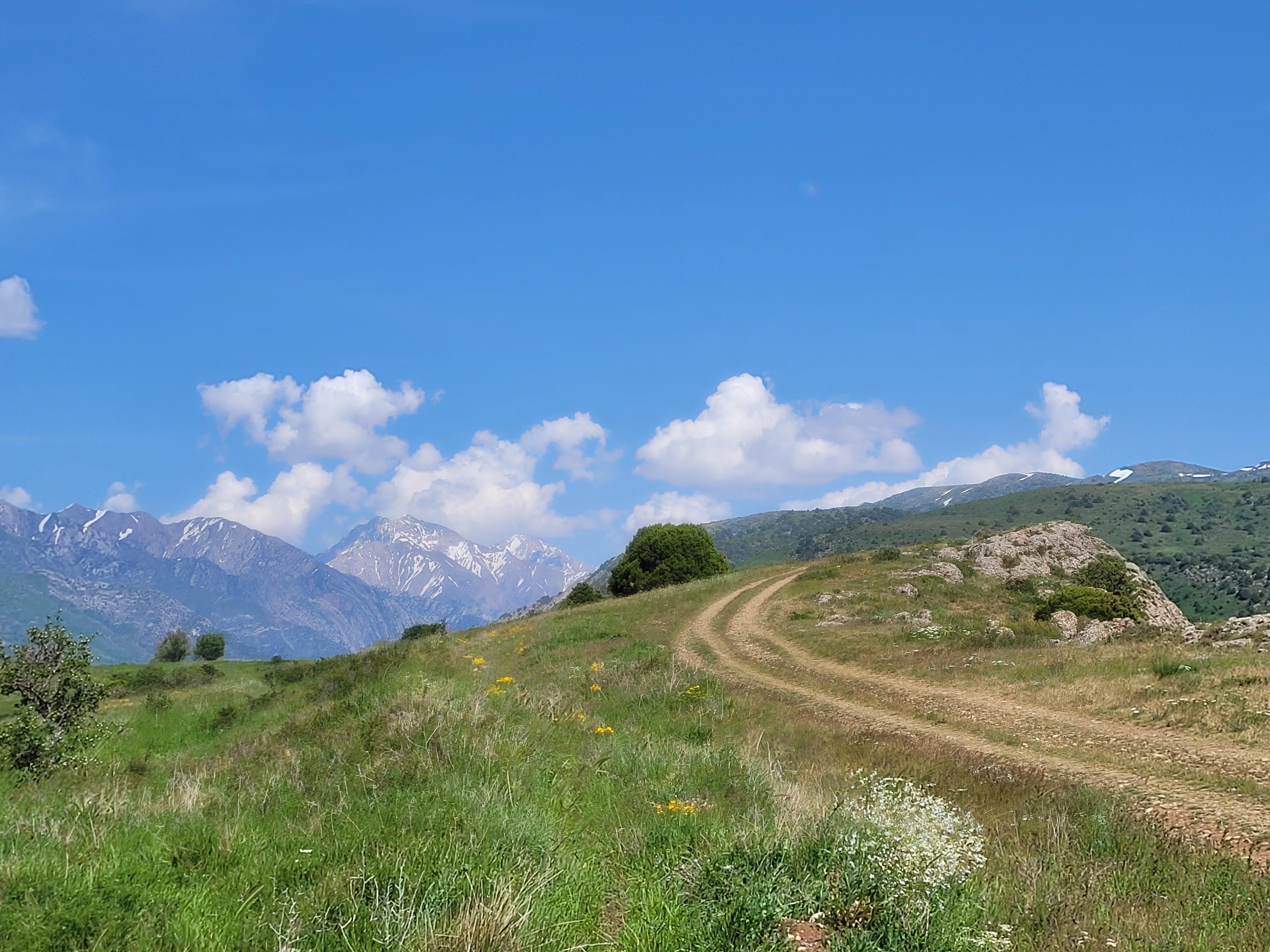 Юг Казахстана: от Шымкента до Туркестана за 5 дней (10/20)
