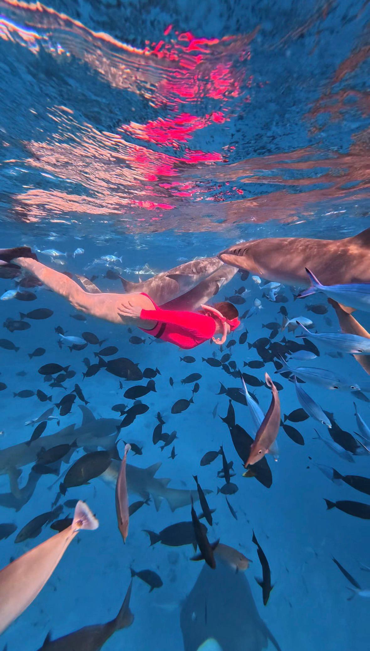 Сказочные Мальдивы.9 Дней на Райских Островах (44/87)