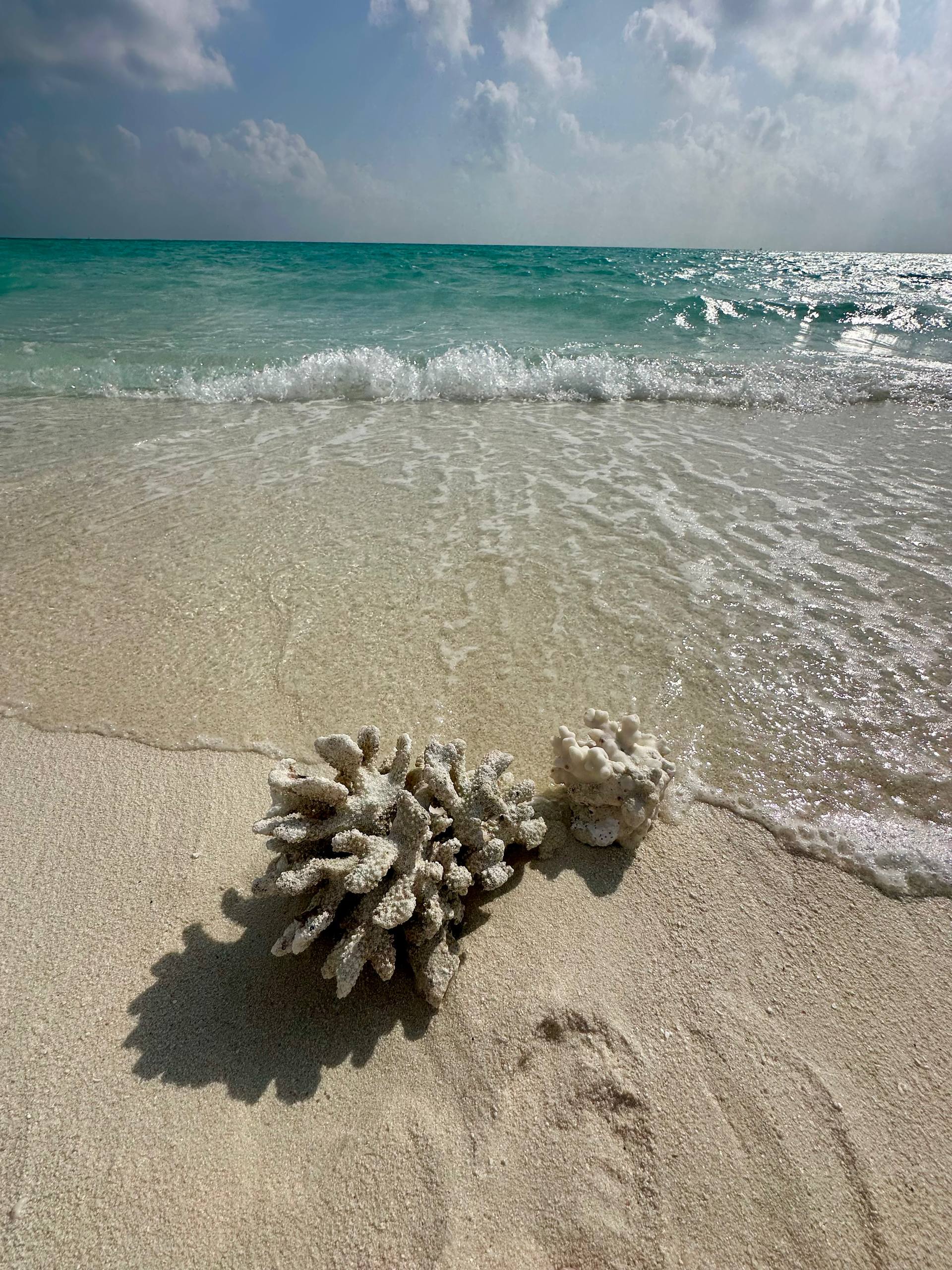 Сказочные Мальдивы.9 Дней на Райских Островах (59/87)