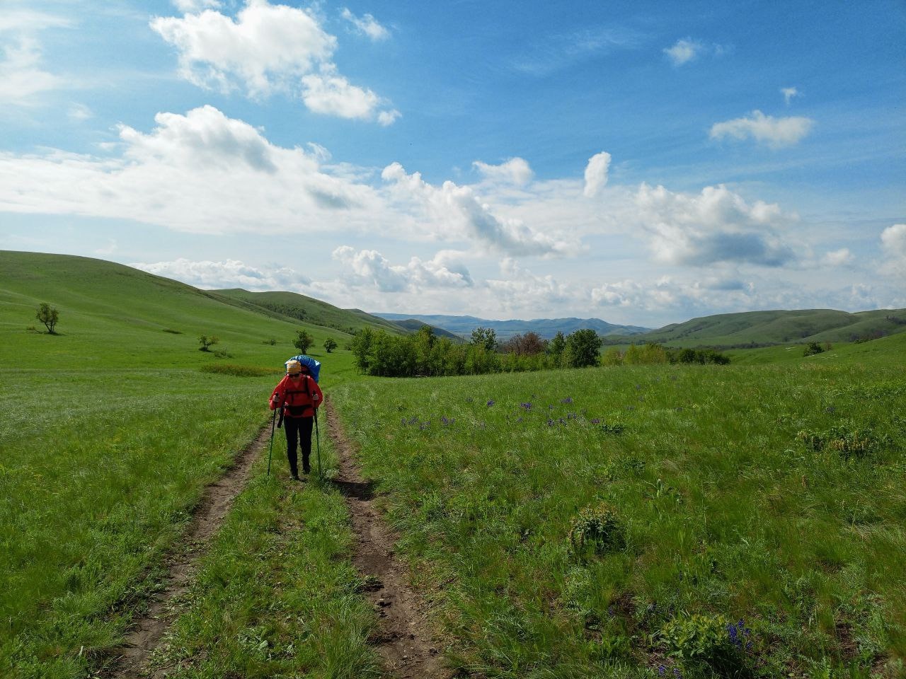 Долгие горы: выполнение программы Степной волк