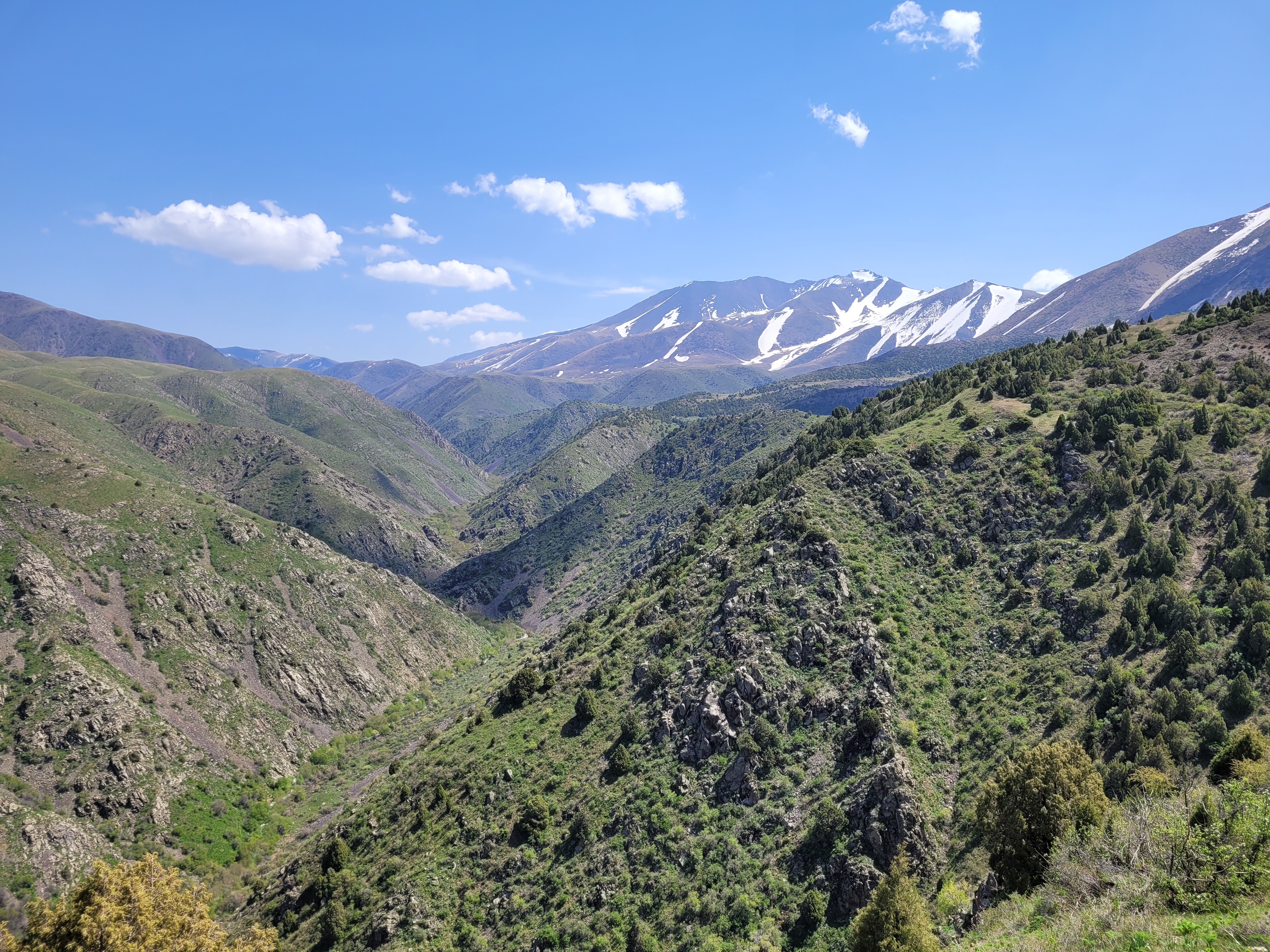 Юг Казахстана: от Шымкента до Туркестана за 5 дней (7/20)