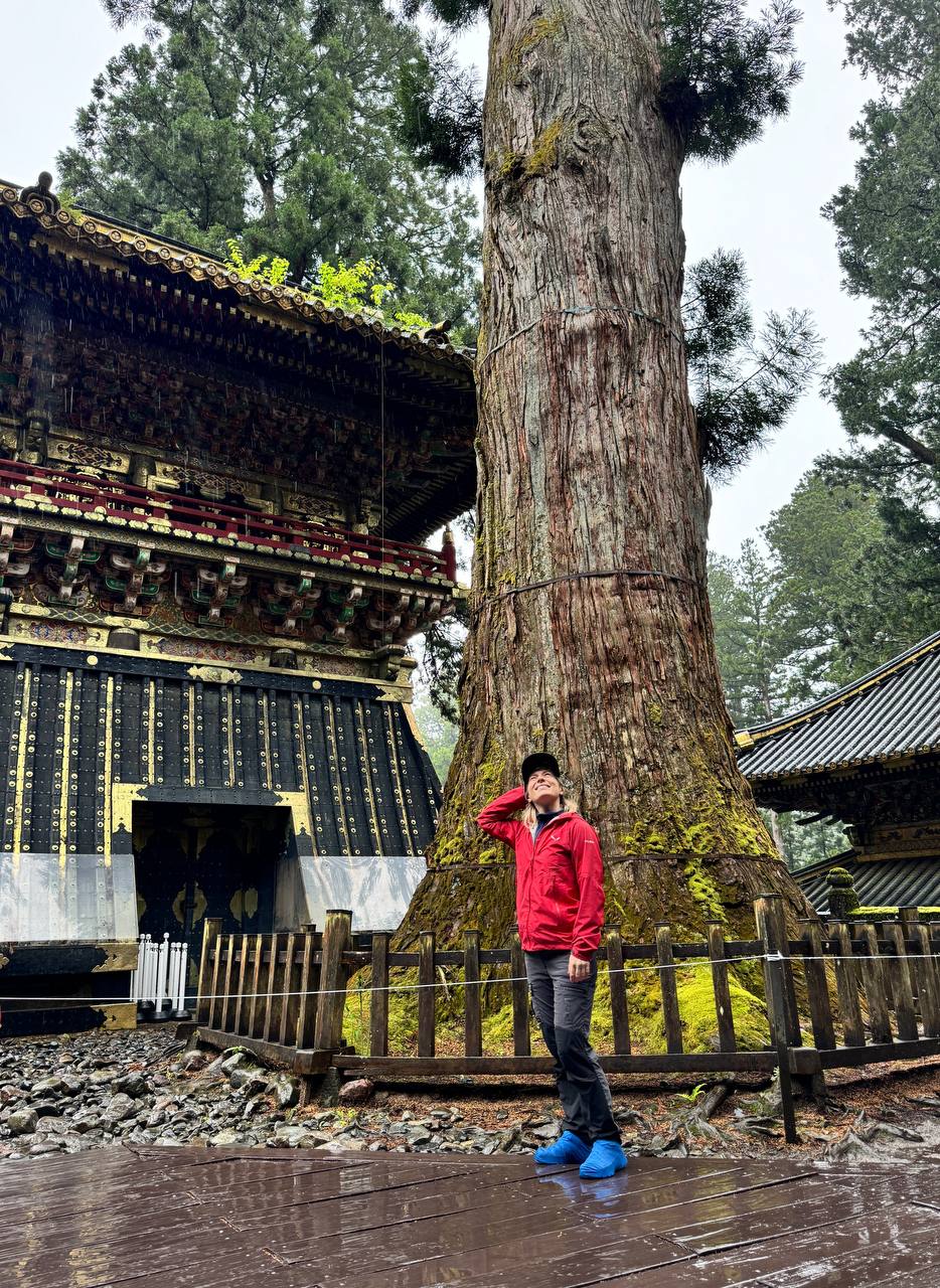 Активный тур в Японию