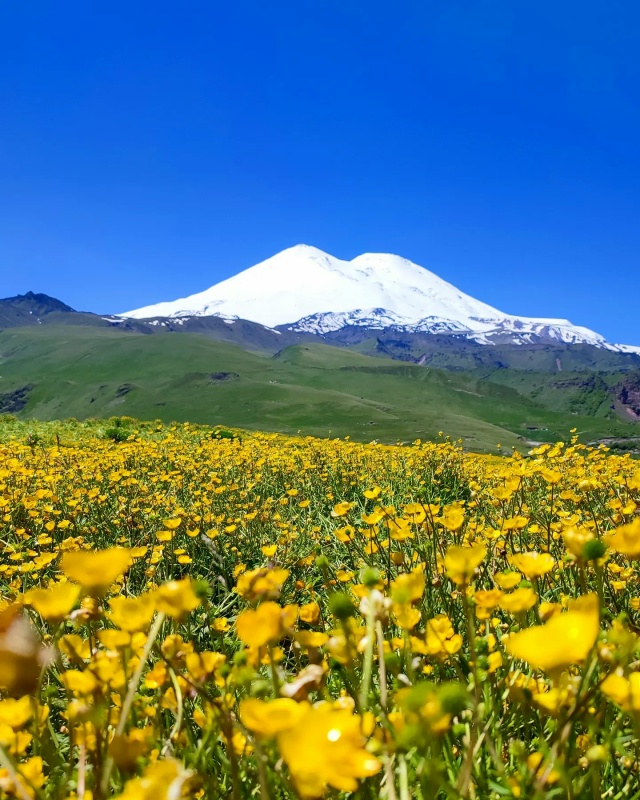 По следам Бременских музыкантов (5/24)