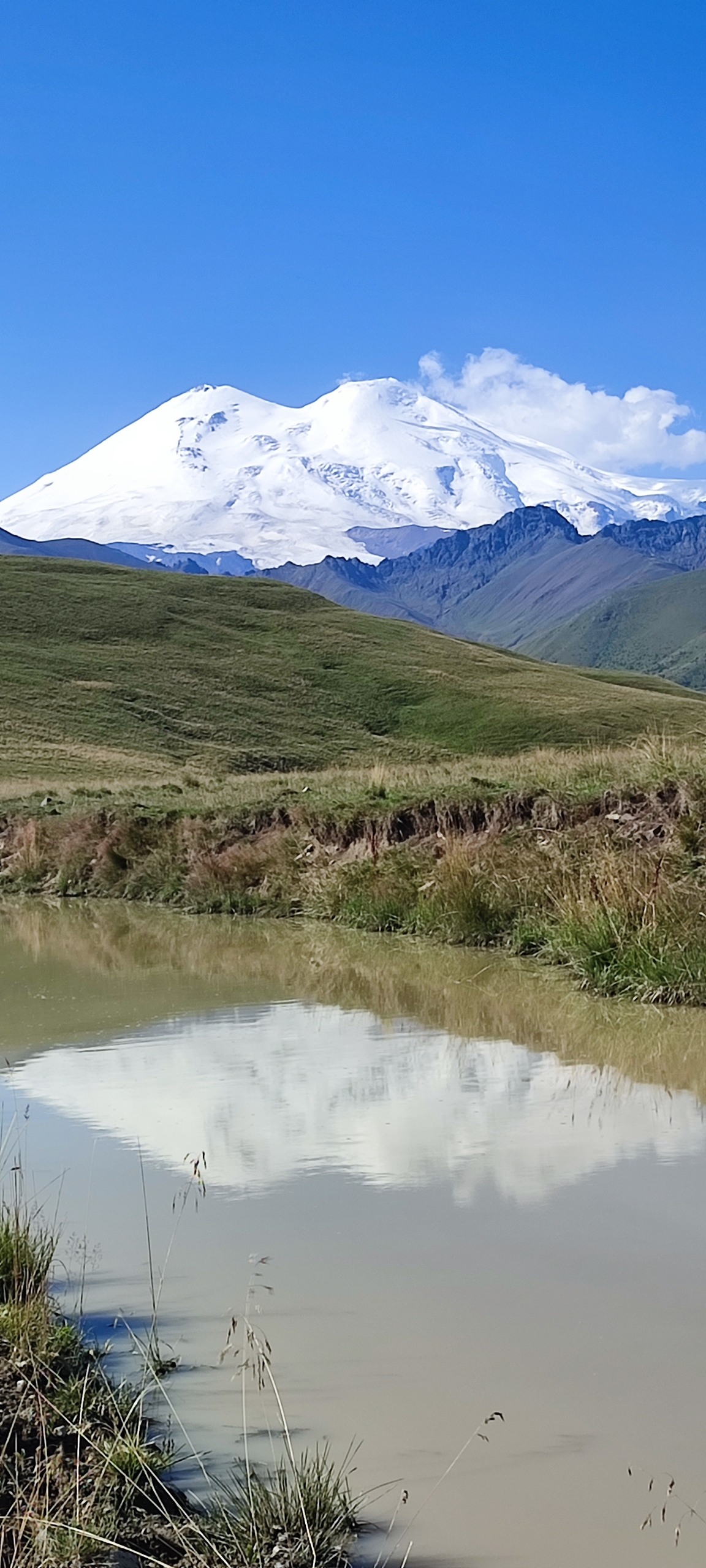 По следам Бременских музыкантов (7/24)