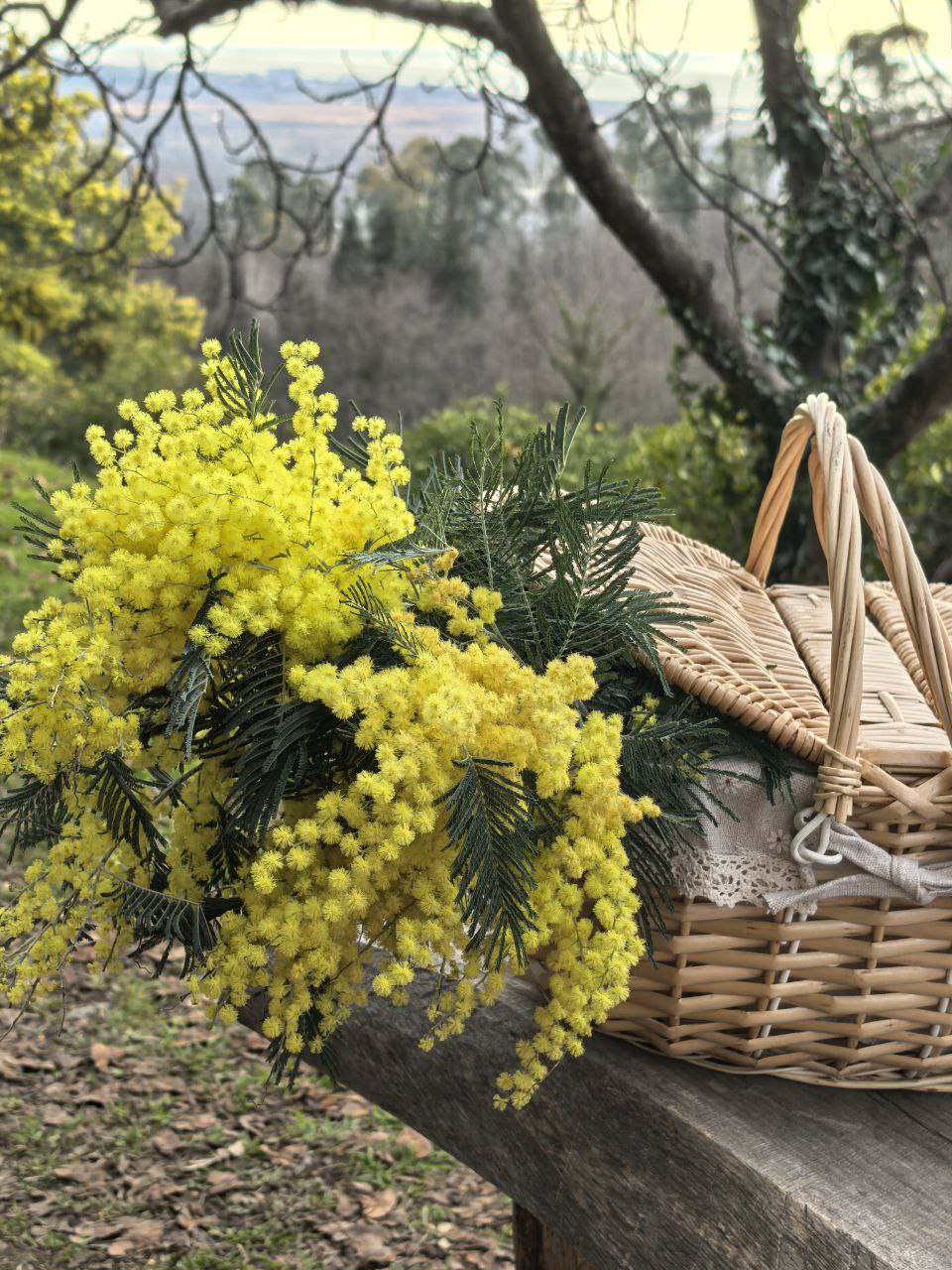 Вах! Легендарный джип-тур по-Абхазски + Малая Рица (125/137)