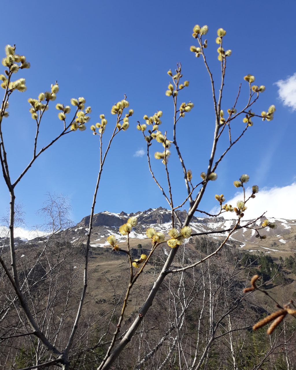 Кавказ - новые горизонты ( со скидкой!!,  все включено , 6 дней) (19/107)