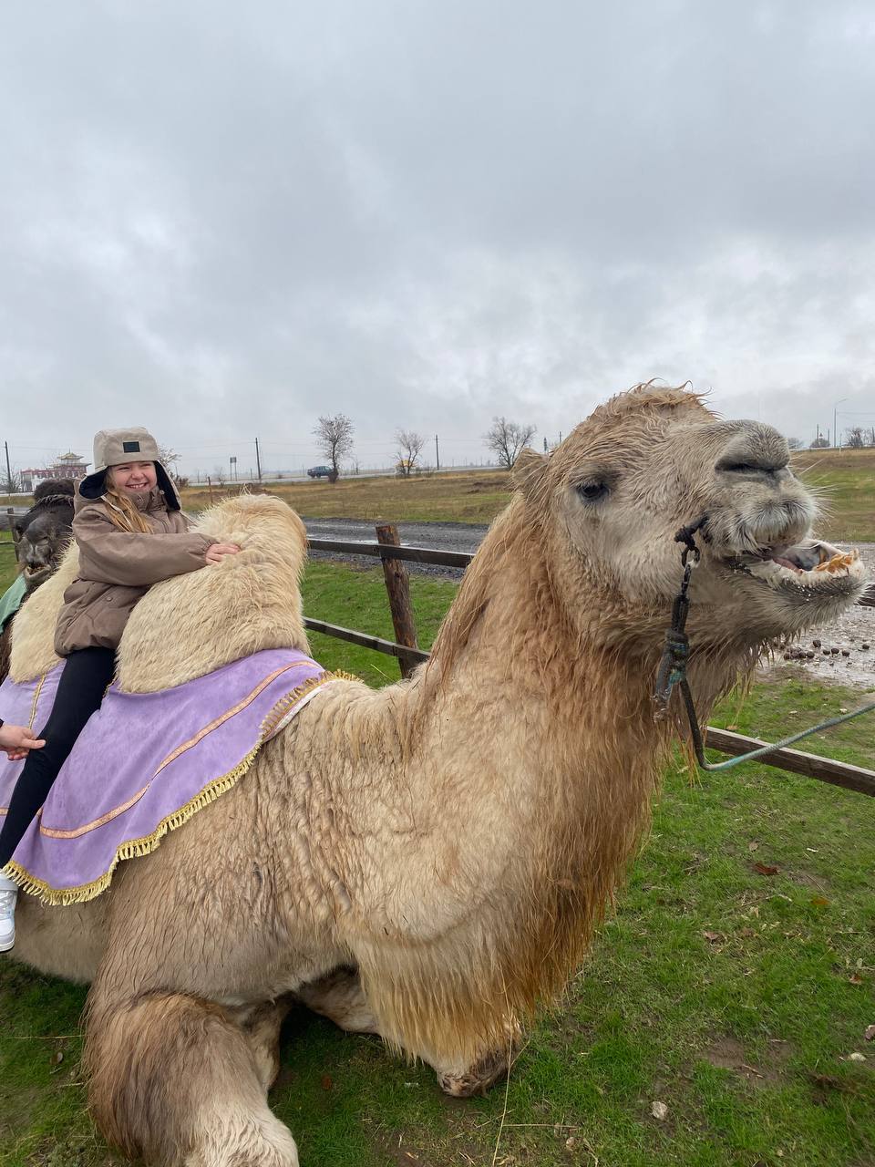 Тур в Элисту из Краснодара (5/11)