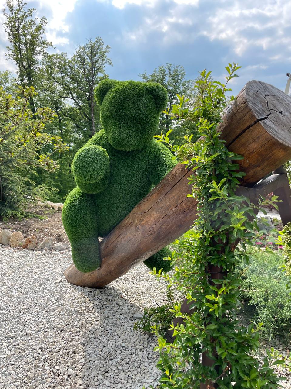 Горячий ключ + Ферма Альпак (8/13)