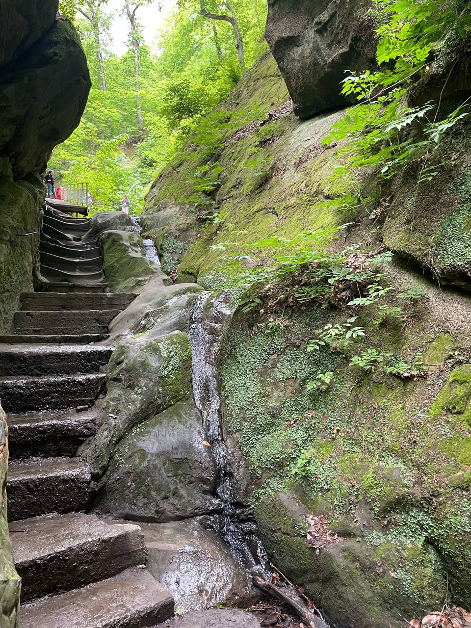 Горячий ключ + Ферма Альпак (2/13)