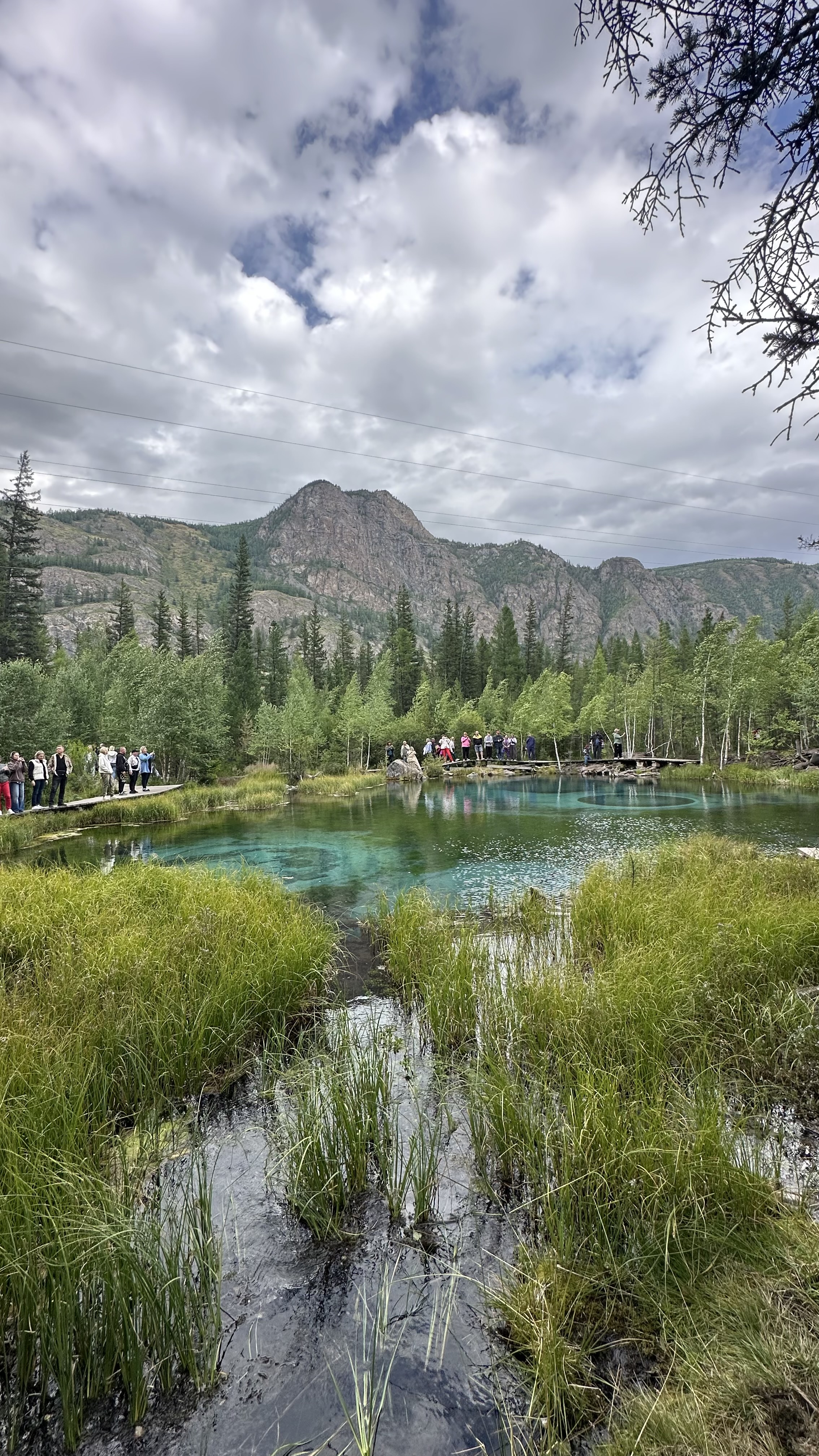 Алтайская сказка. Комфорт + (30/43)