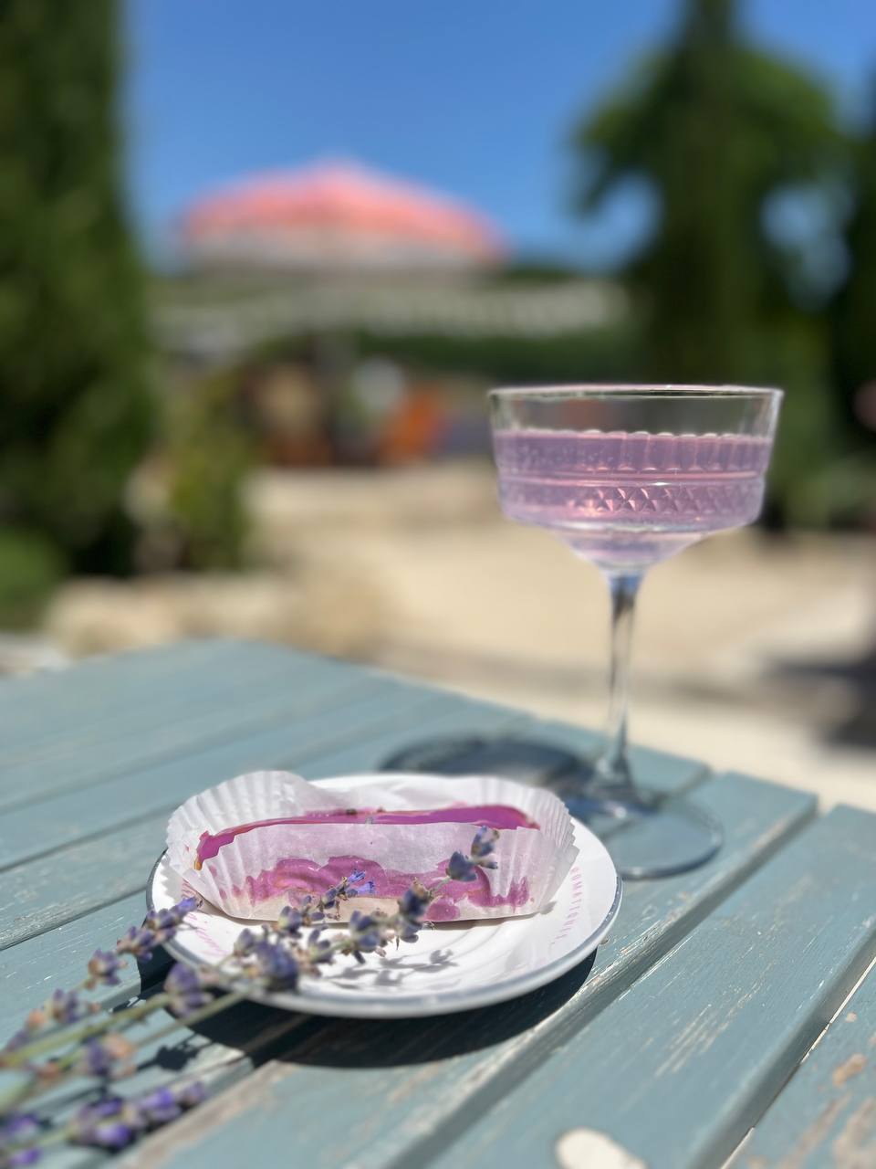 Тур в Лаванду: погружение в атмосферу французского Прованса (10/10)