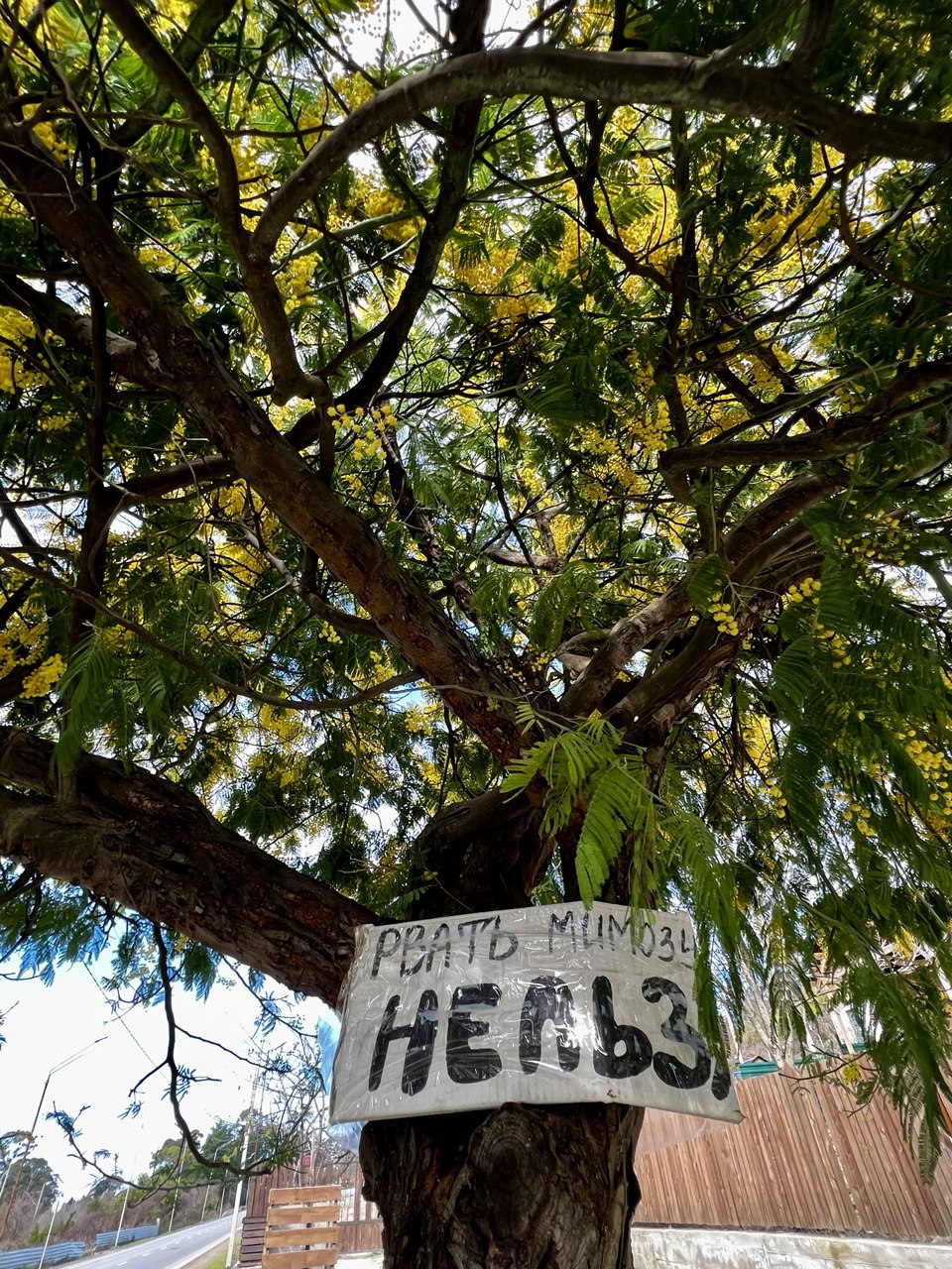 Вах! Легендарный джип-тур по-Абхазски + Малая Рица (111/137)