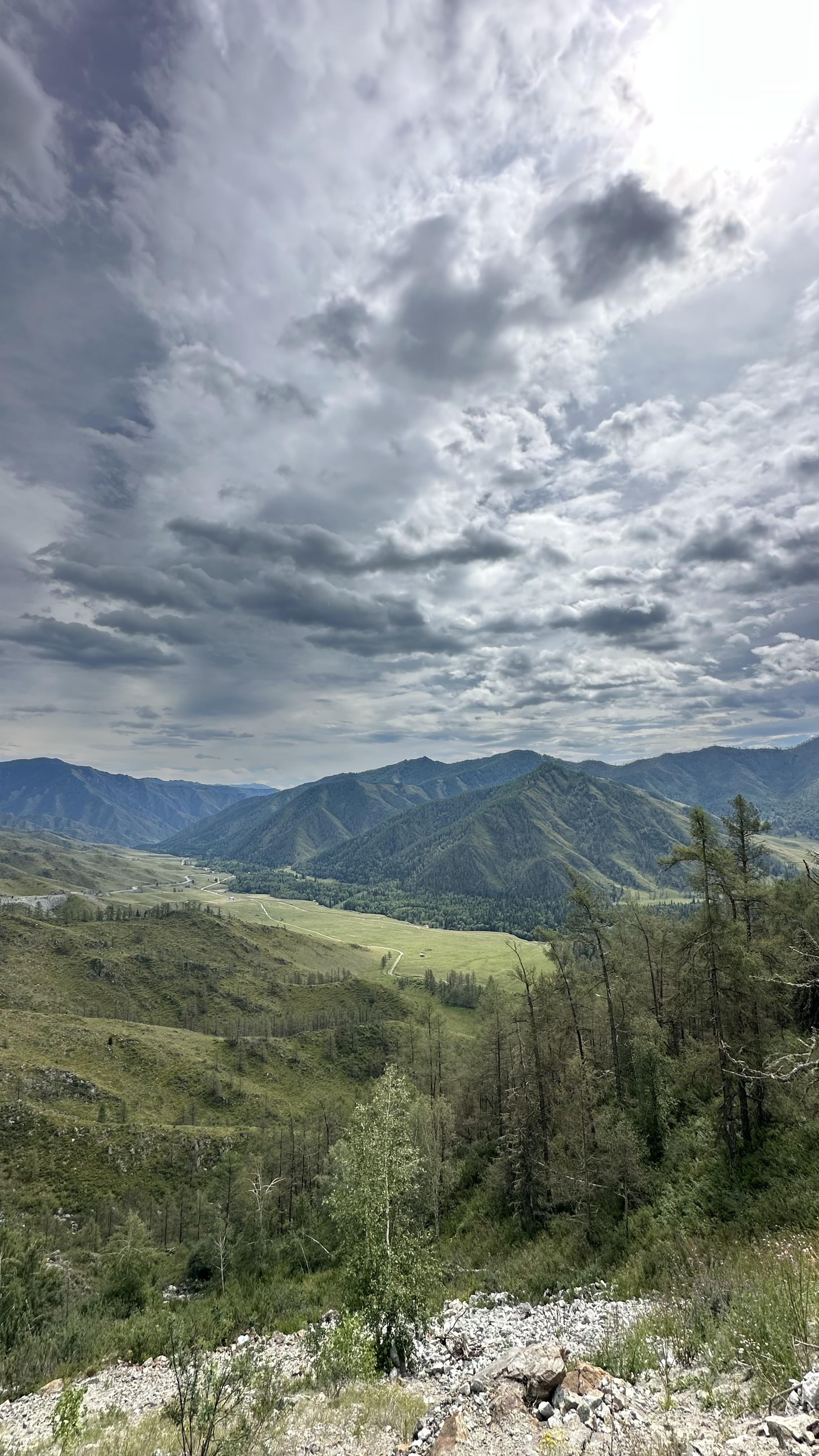 Алтайская сказка. Комфорт + (21/43)