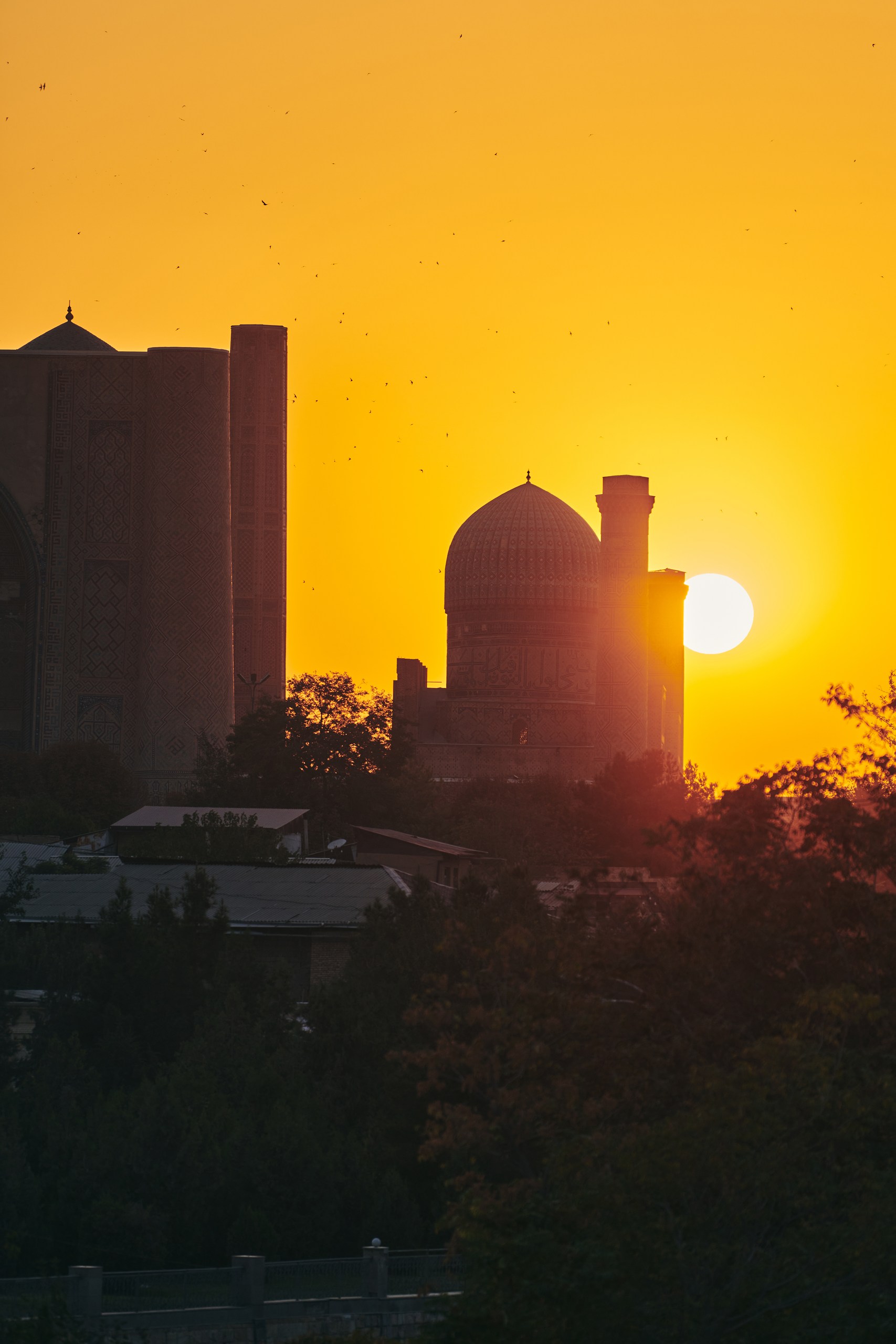 Узбекистан с искусствоведом: Самарканд, Бухара и три тысячи лет искусства
